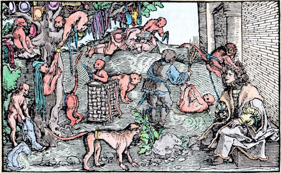 Petrarcameister - Von Affen und leidenschaftlichen Tieren