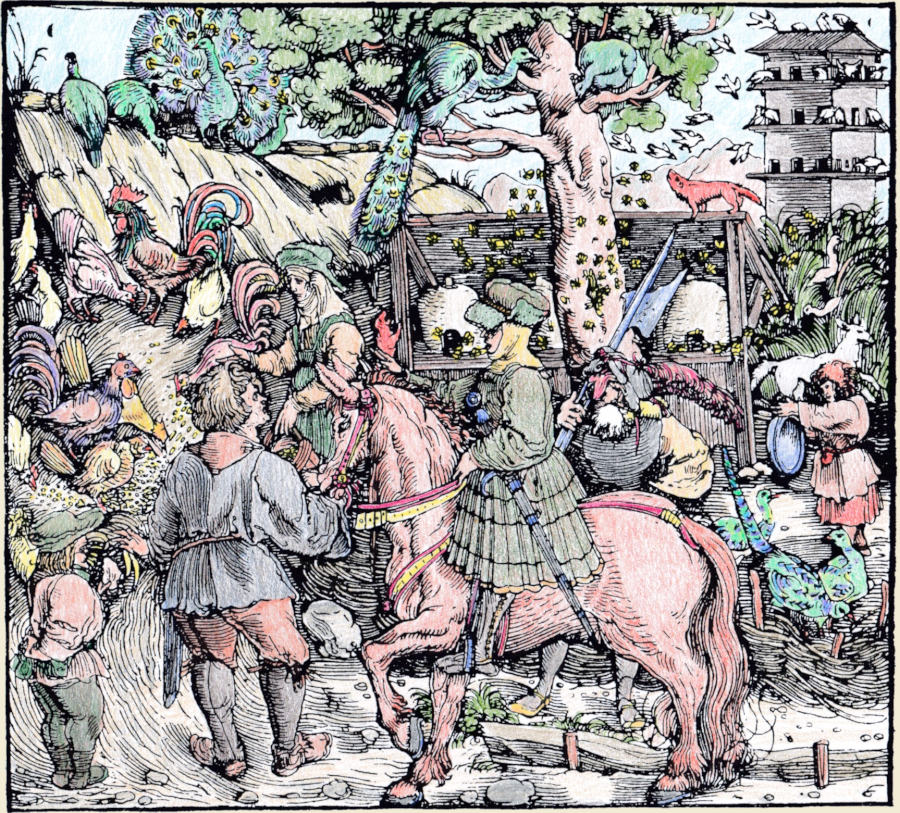 Petrarcameister - Von Pfauen, Hhnern, Bienen und Tauben