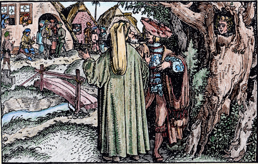 Petrarcameister - Von unedler Heimat